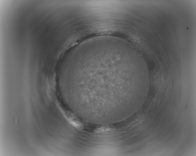 X0000067470742200604071154