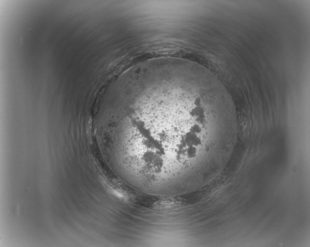 X0000067470745200604071154