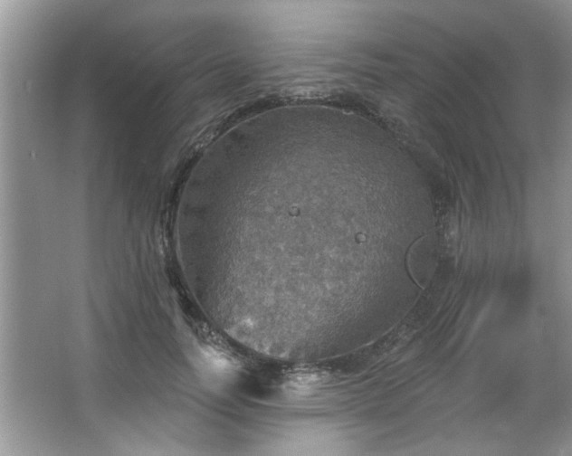 X0000067470746200604071154