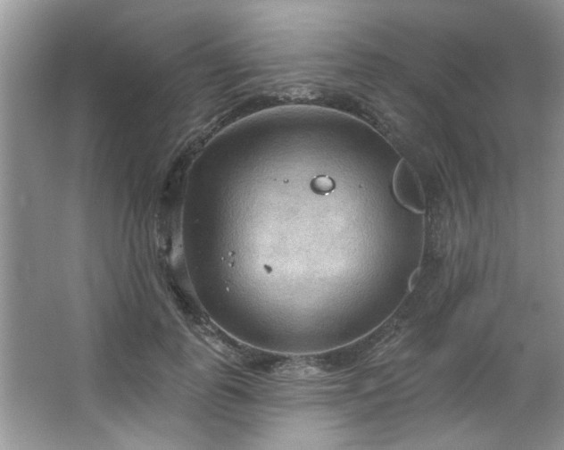 X0000067470747200604071154