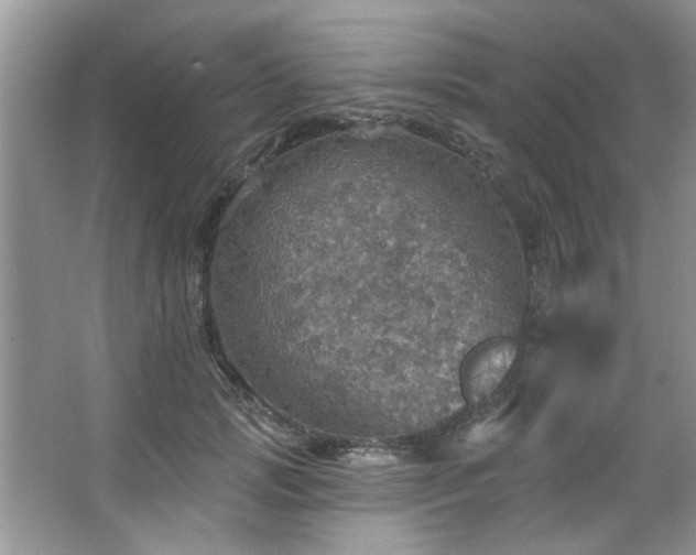 X0000067470749200604071154