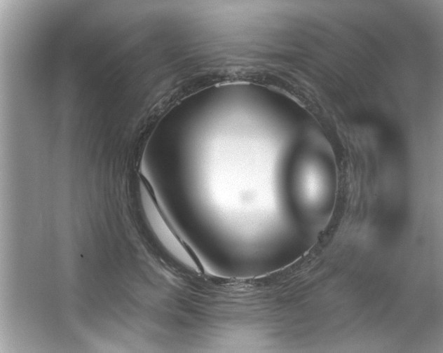 X0000067470750200604071154