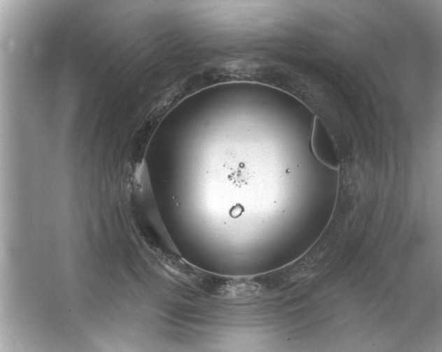 X0000067470752200604071154