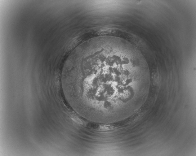 X0000067470753200604071154