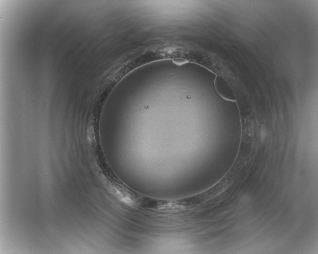 X0000067470754200604071154