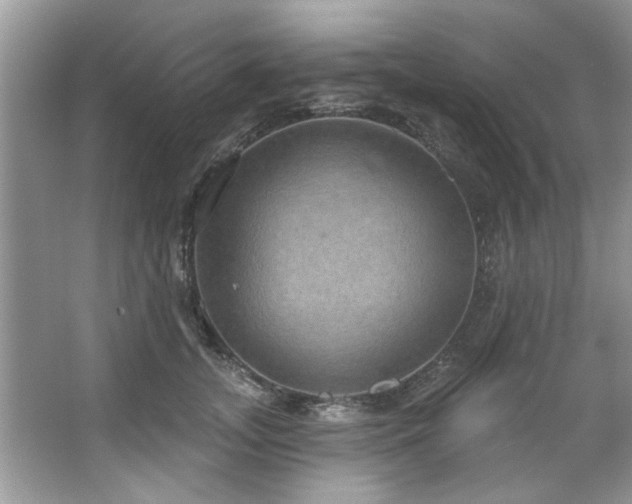 X0000067470755200604071154