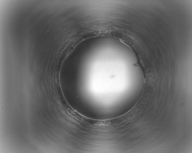 X0000067470756200604071154