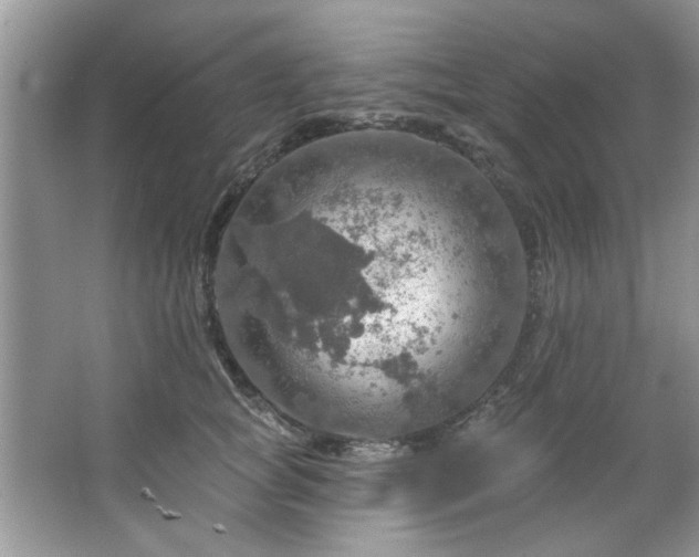 X0000067470757200604071154