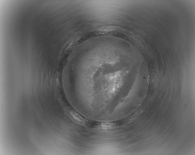 X0000067470758200604071154