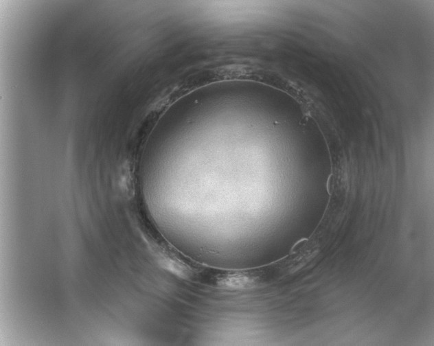 X0000067470759200604071154