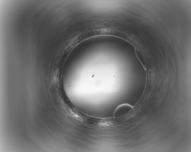 X0000067470760200604071154