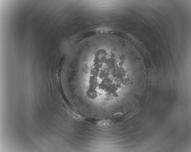 X0000067470761200604071154