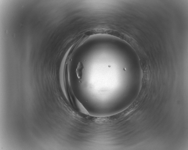 X0000067470762200604071154