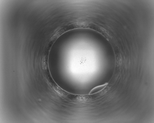 X0000067470764200604071154