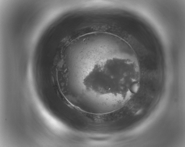 X0000067470765200604071154