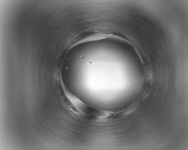 X0000067470766200604071154