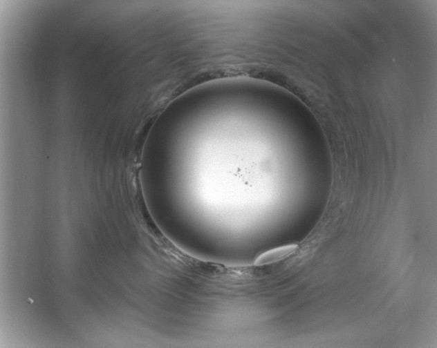 X0000067470768200604071154