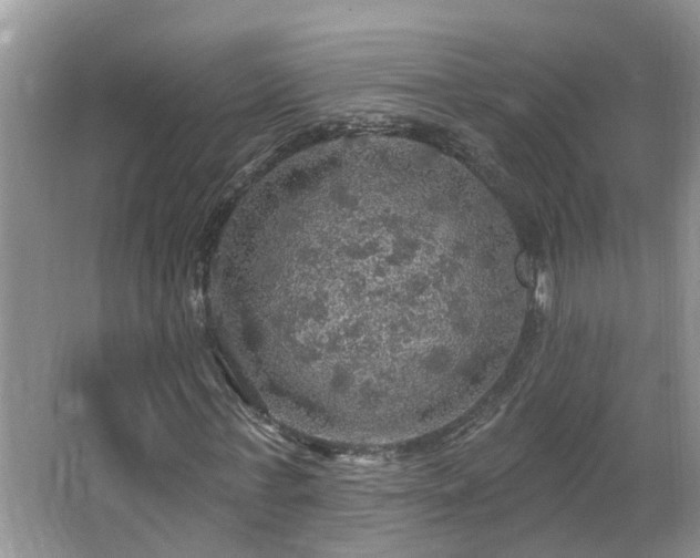 X0000067470771200604071153