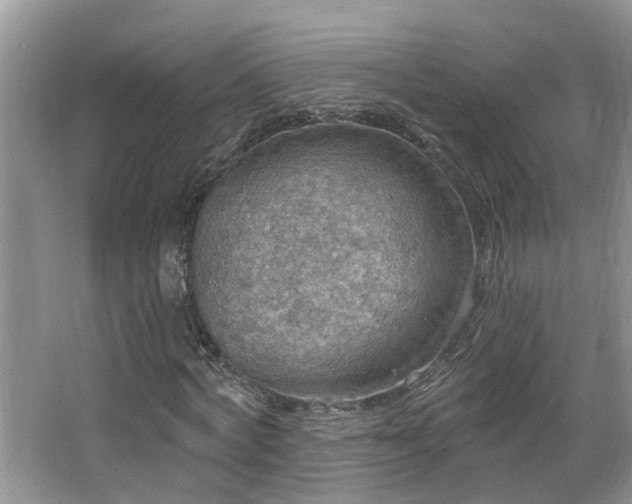 X0000067470772200604071153