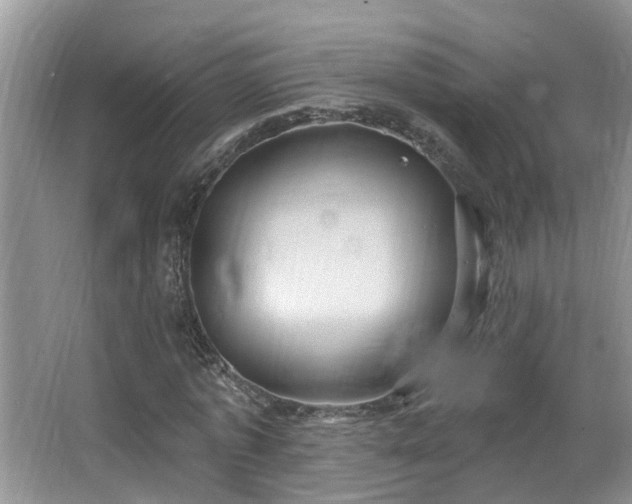 X0000067470773200604071153