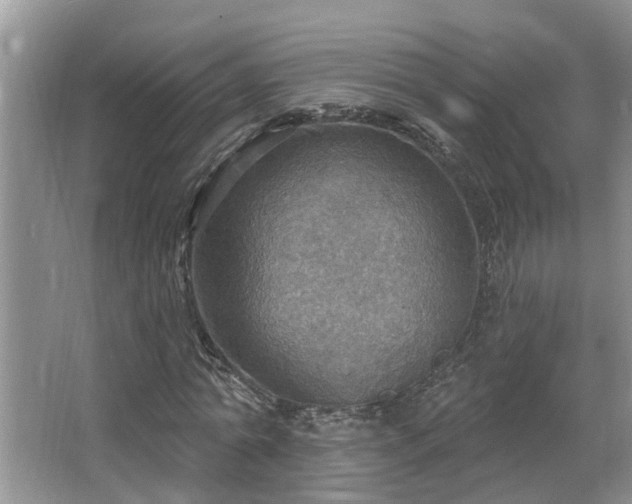 X0000067470774200604071153