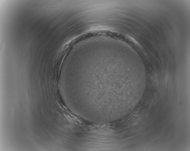 X0000067470775200604071153