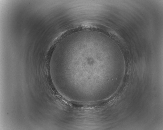 X0000067470776200604071153