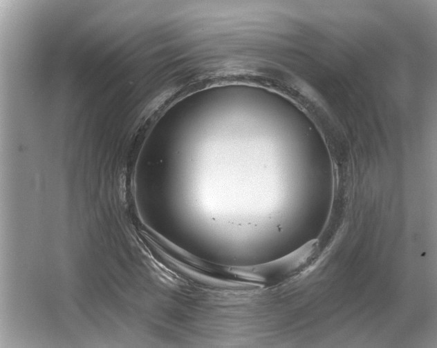 X0000067470777200604071153