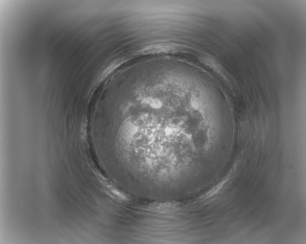 X0000067470778200604071153