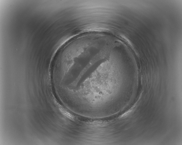 X0000067470779200604071153