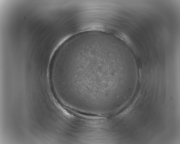 X0000067470780200604071153