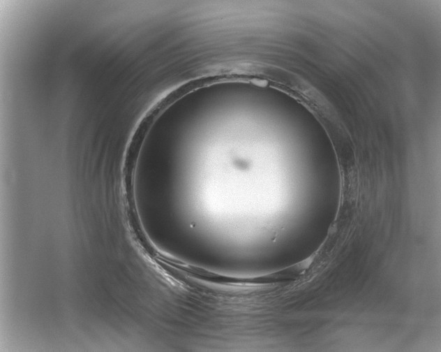 X0000067470784200604071153