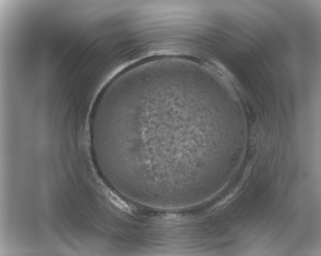 X0000067470787200604071153