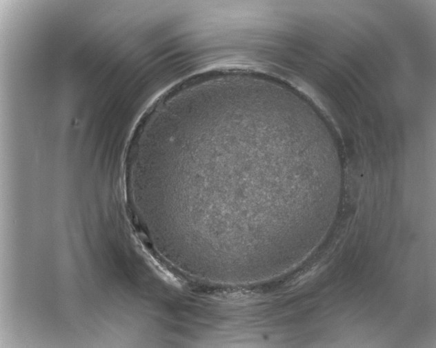 X0000067470791200604071153