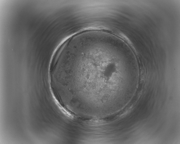 X0000067470795200604071153