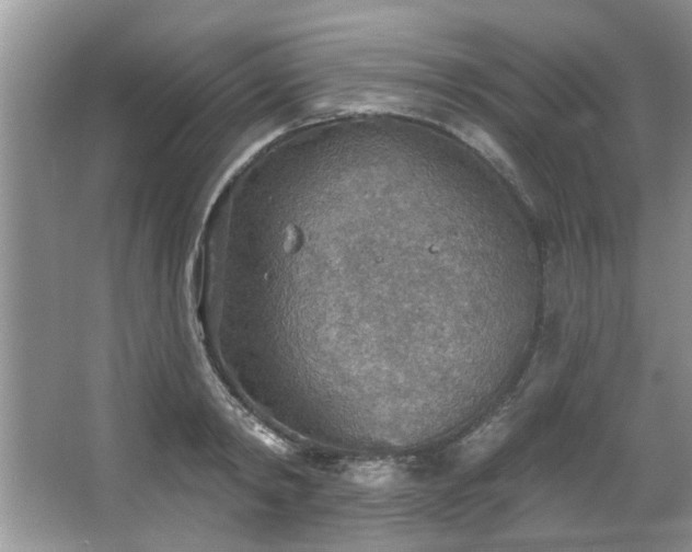 X0000067470798200604071153