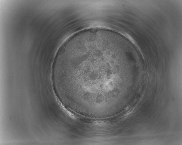 X0000067470799200604071153