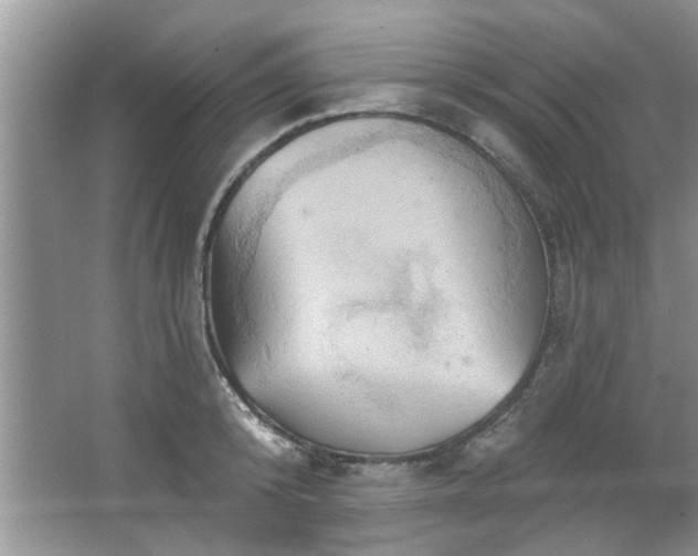 X0000067470800200604071153