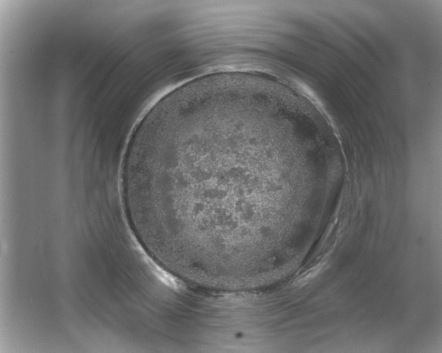 X0000067470803200604071153