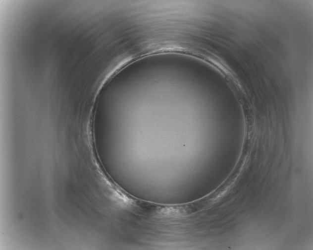 X0000067470806200604071153