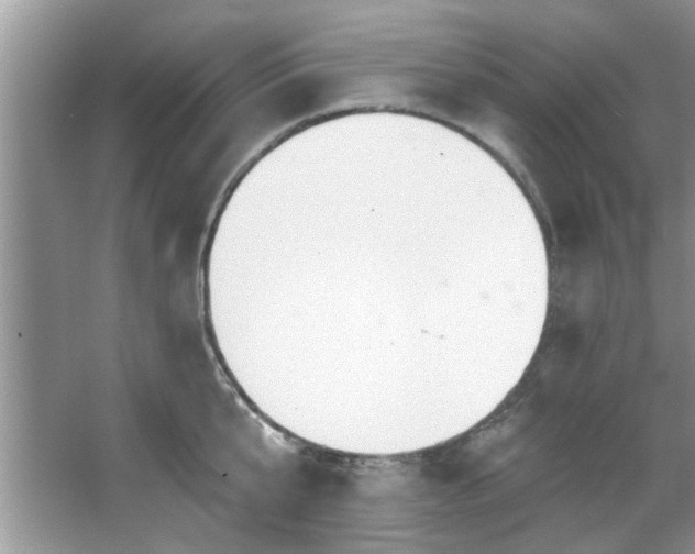 X0000067470807200604071153