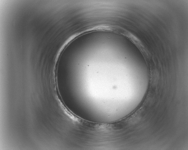 X0000067470808200604071153