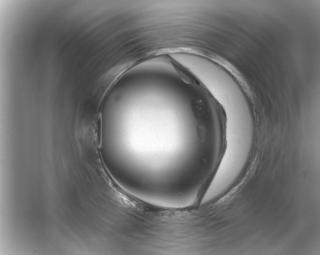 X0000067470809200604071152