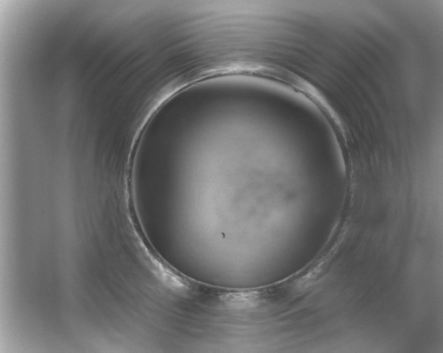 X0000067470810200604071152