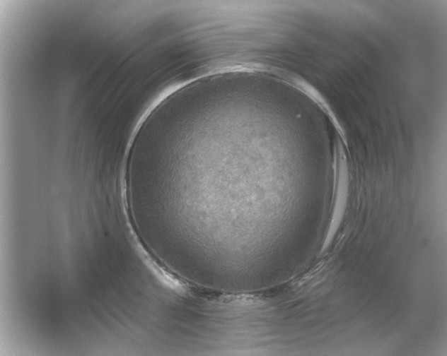 X0000067470811200604071152