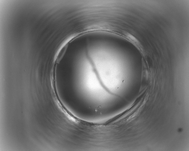 X0000067470812200604071152