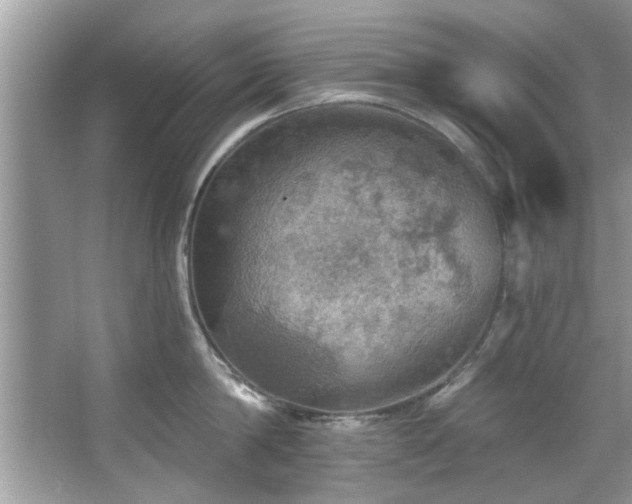 X0000067470814200604071152