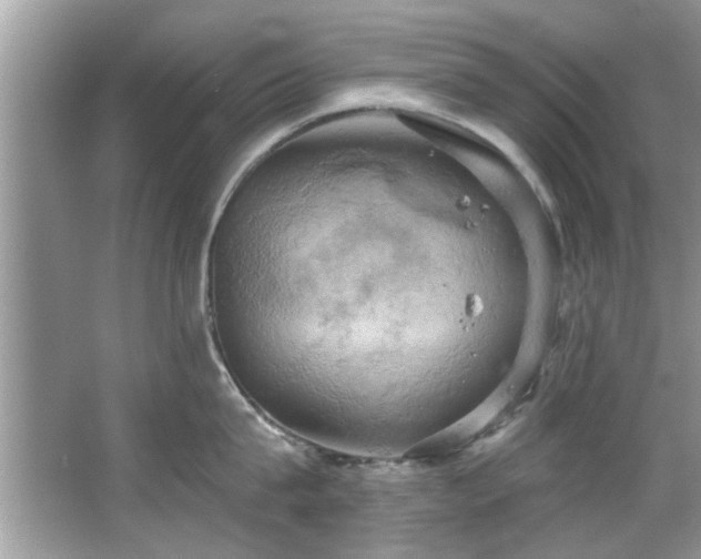 X0000067470815200604071152