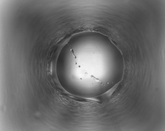 X0000067470818200604071152