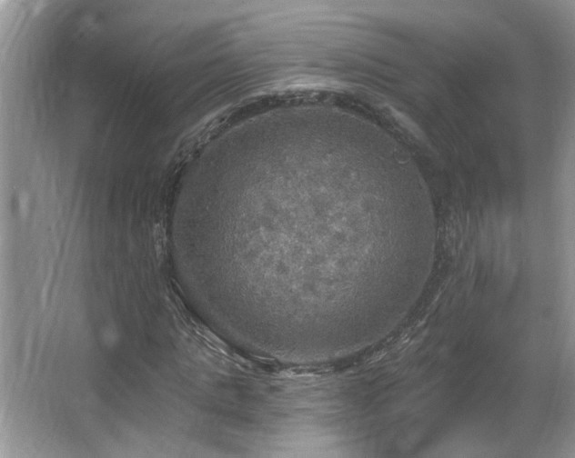 X0000067470821200604071152